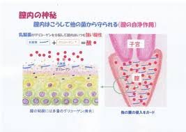 細菌性膣症は生活習慣もあわせて