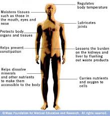 become dehydrated?