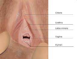 Hymen….selembar membran
