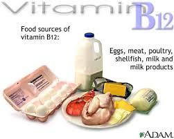  Vitamin B12  source