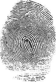 Fingerprinting Kits - via Daymix