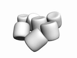 The Marshmallow Test - via Daymix