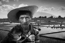 Photo Contest Sponsored By
