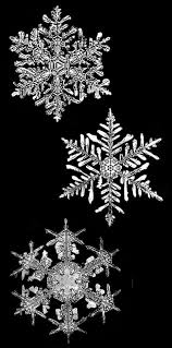 It seems that true snowflakes - via Daymix