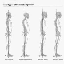 2 types of posture, - via Daymix