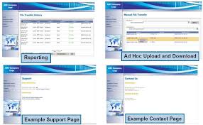 Cleo VLTrader Web Portal http - via Daymix