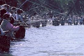   Alaska Salmon Fishing  