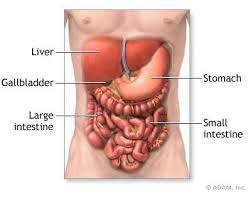 Indigestion is not a disease, - via Daymix