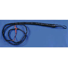 Bull Whip