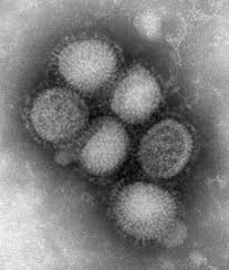 h1n1 - via Daymix