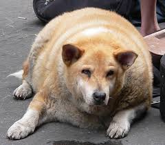  Unintentional weight loss 