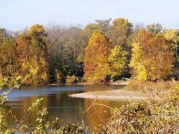 Autumn Scenes Wallpaper from - via Daymix