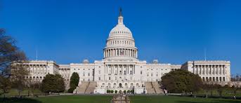 Wikipedia:111th United States - via Daymix