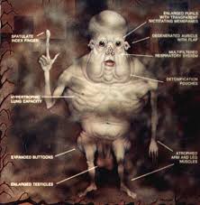 Future of Human Evolution: - via Daymix