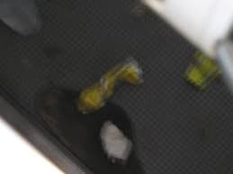 過ちは犯す.JPG