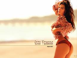 Image <b>Sofia Vergara</b> Picture