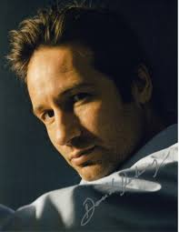 Image <b>David Duchovny</b> Picture