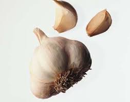 How to Plant and Store  Garlic 