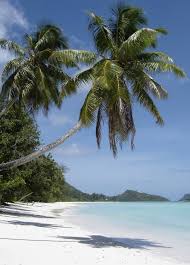 Tropical Islands - via Daymix
