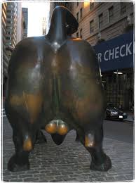 I also thought that the  bull   was    