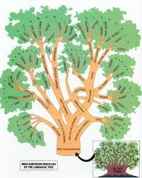 IndoEuropean  Language   Family tree