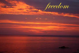 Meditate on  Freedom   