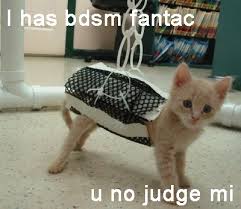 BDSM Kitty