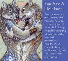 What Kind of Furry
