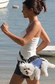 Fashion Accessory - via Daymix