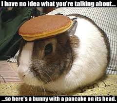 Pancake Bunny