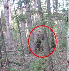 I will think Sasquatch is a - via Daymix