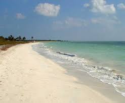 Historically, Florida's - via Daymix