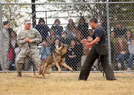 such as military, police, - via Daymix