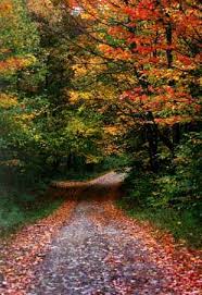 Autumn - via Daymix