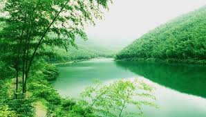 天目湖南山竹海
