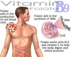 Scientists question folic acid - via Daymix