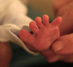 Newborn  Reflexes 
