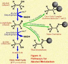 Since acetaldehyde is