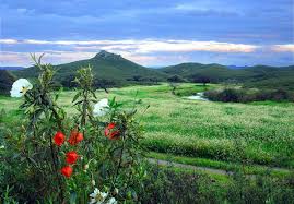 ¡Extremadura verde! - via Daymix