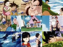 地球ではドラゴンボールを使い