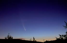 comet  McNaught  