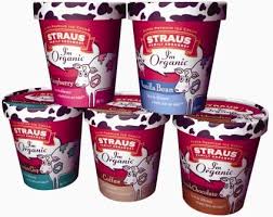 Freshly made ice cream