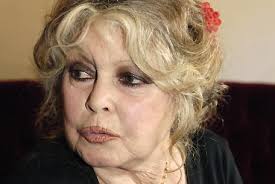 Image <b>Brigitte Bardot</b> Fined For Picture