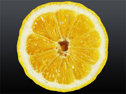 The interior of an orange