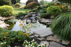 water garden pond. - via Daymix