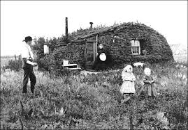 Sod home