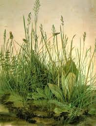 The  Large   Turf