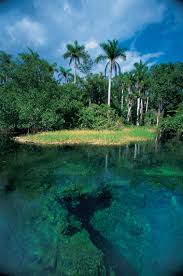 said that Cuba's beaches, - via Daymix