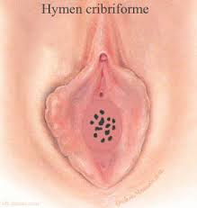 hymen)