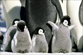 something look cute.